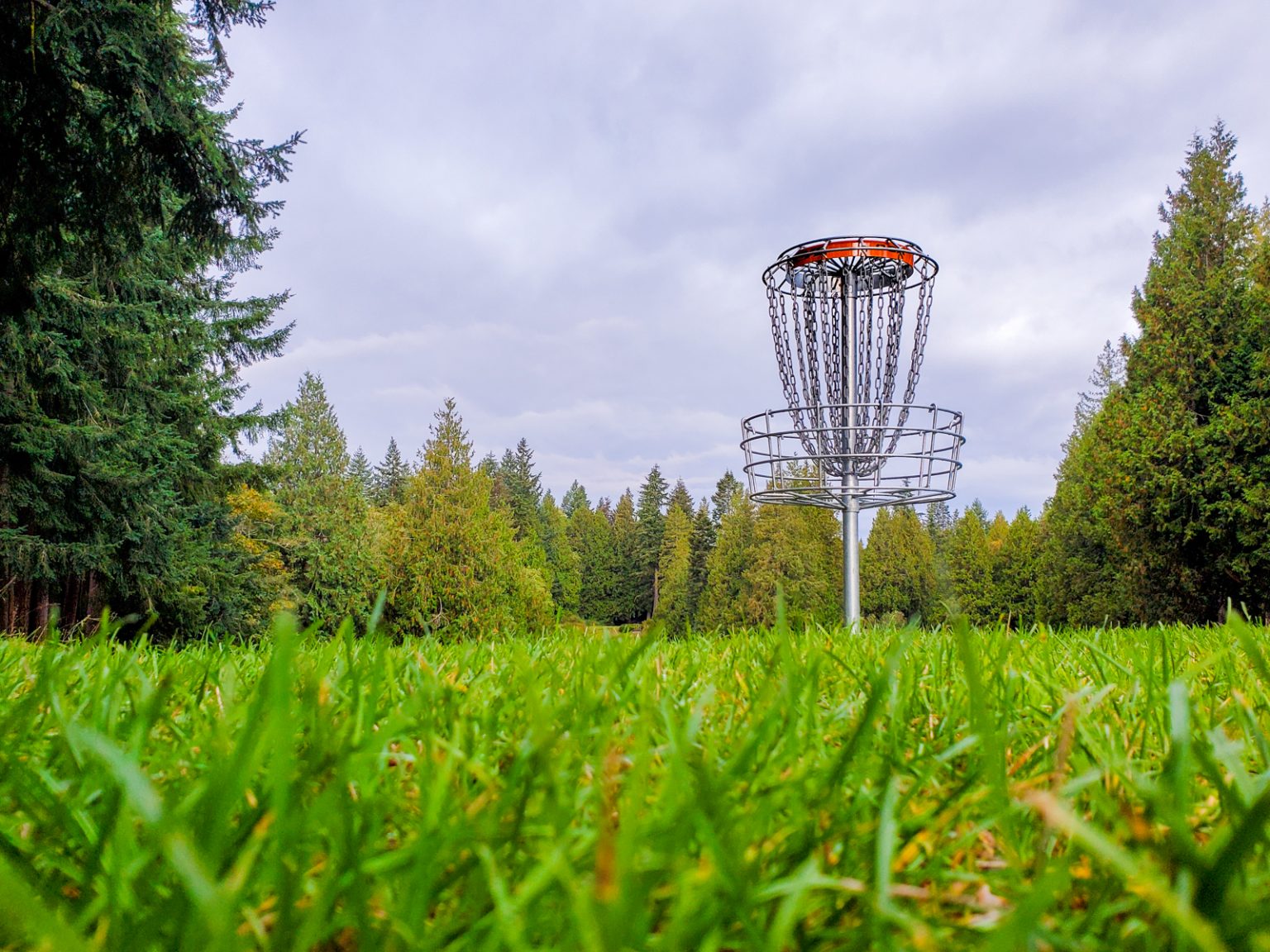 Kayak Point Blue Course Disc Golf Resort