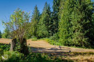 FMB_2022_KPDGR_small-87