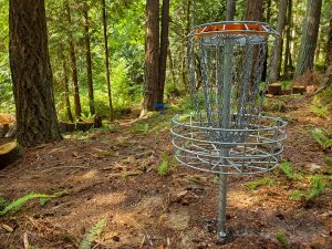 Hole 2 basket