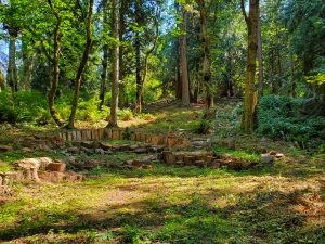 Hole 8 fairway