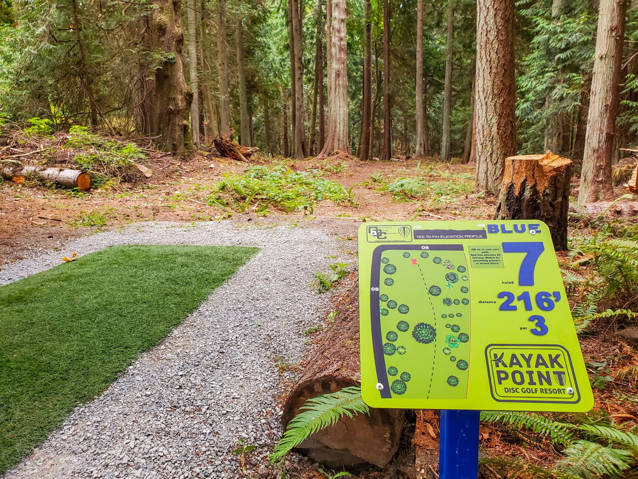 Kayak Point Blue Course Disc Golf Resort