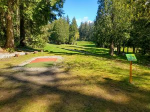 KayakPoint_Gold8tee